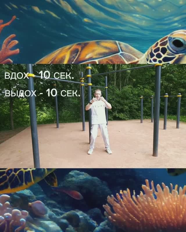 ДЫХАНИЕ ЧЕРЕПАХИ | 𝐓𝐎𝐑𝐓𝐎𝐈𝐒𝐄 𝐁𝐑𝐄𝐀𝐓𝐇