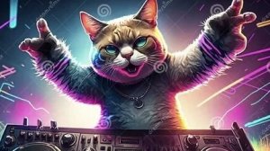 Кошачья дискотека