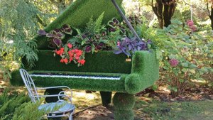 Дорога к морю санаторий «Одиссея» Лазаревское Сочи