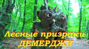 Лесные призраки Демерджи.