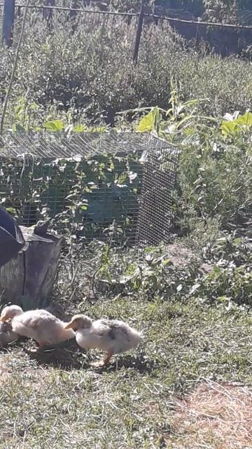 28 октября 2023 г. смотреть онлайн