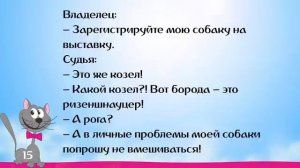 Анекдоты про Животных_ про Кошек и Собак, про Попугая. Короткие юморные фразы в