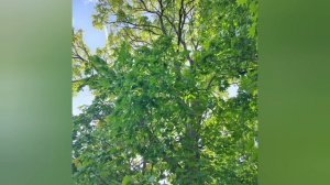 Природа Башкирии