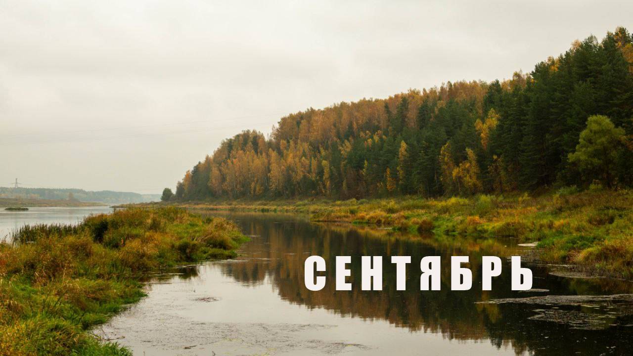 СМУТНОЕ ВРЕМЯ #34