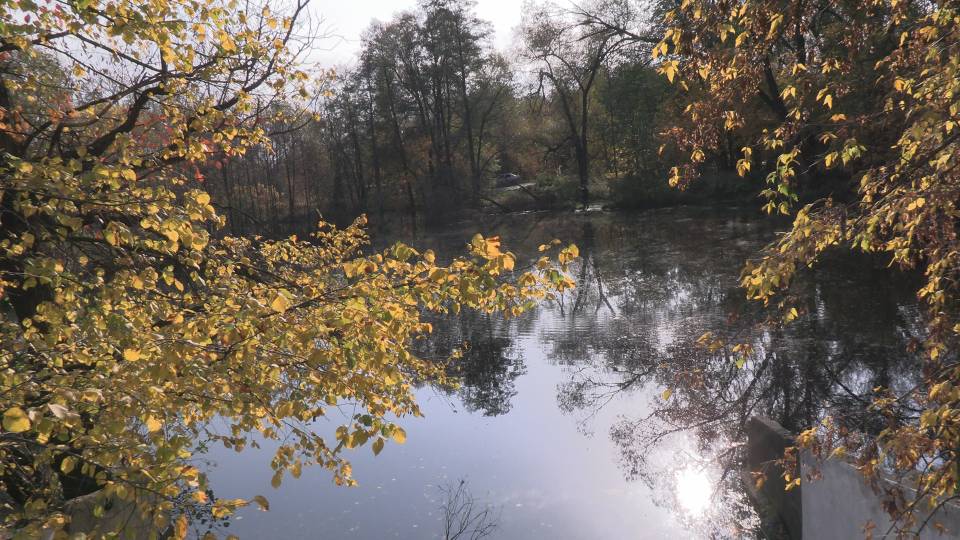 Осенняя прогулка 4К