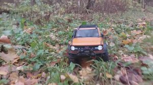 Осенние покатушки с Багги и Белугой