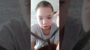 обзор пдф 7  3часть