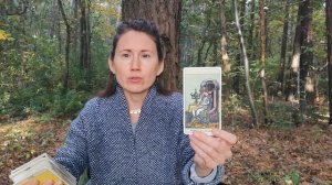 🌺🌺🌺🌺🌺🌺🌺🌺🌺