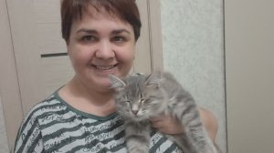 Овощное рагу, чем вы кормите