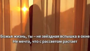 🎶Настоящая жизнь — океан световой