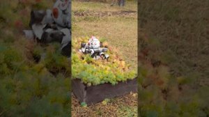 Воронеж. Сафари парк «Червленый Яр».