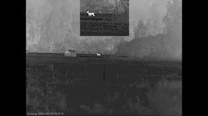 Ночная съемка Sytong XM06-50 LRF