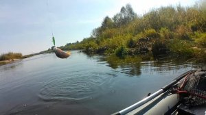 Рыбалка на окуня на поппер на Волге.