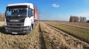 Уборочная страда 2025 года. Крайние дни. Часть 1.