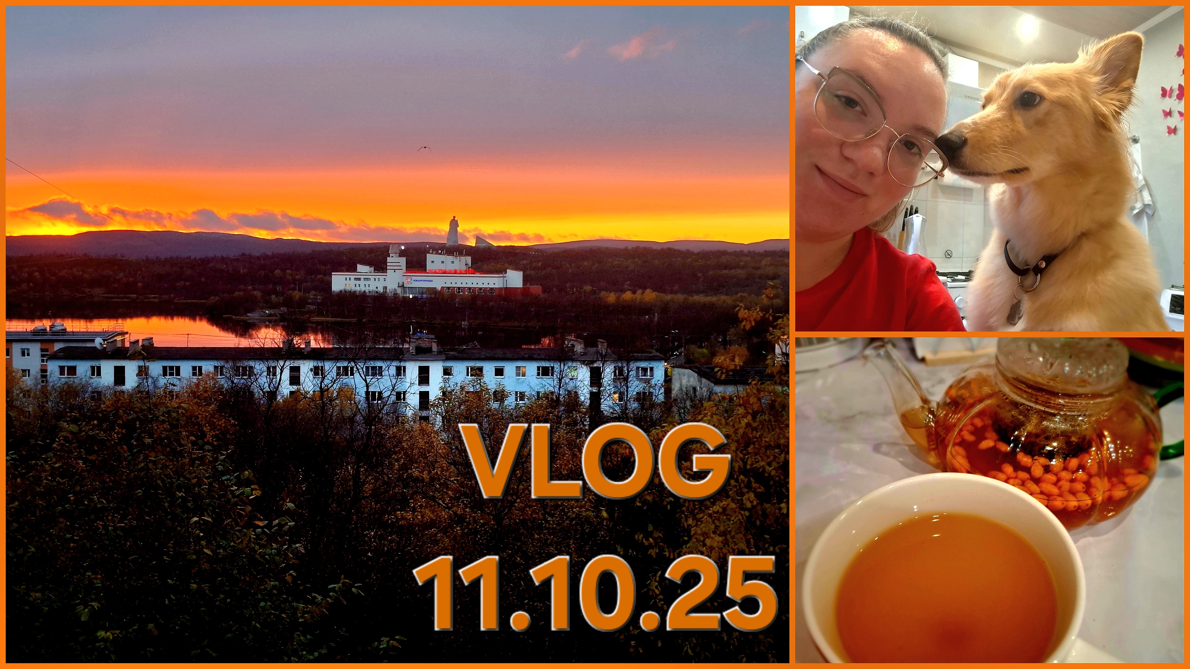 VLOG 11.10.25: ВЫХОДНОЙ ДЕНЬ/ПОСЫЛКИ ОТ МАМЫ НА WILDBERRIES/КАК ЖИТЬ С КРУПНОЙ СОБАКОЙ?