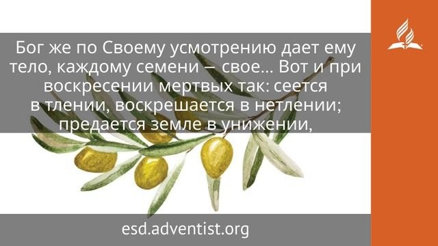 13 октября 2025. Прославленное тело. Под сенью благодати | Адвентисты