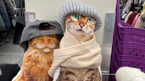 Кошачья мода
