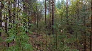 Разговор с самим собой №2