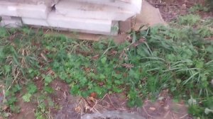 с. Троицкое, Анивский р-н. Вода превосходная