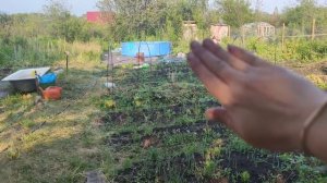 Дачный Влог 12) бассейн из светофора/ поставили каркасную беседку.