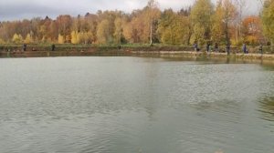 WhatsApp Video 2025-10-12 at 09.53.06