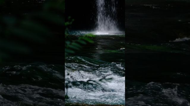Музыка успокаивающая нервную систему☘️