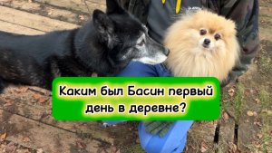 Каким был Басин первый день в деревне?