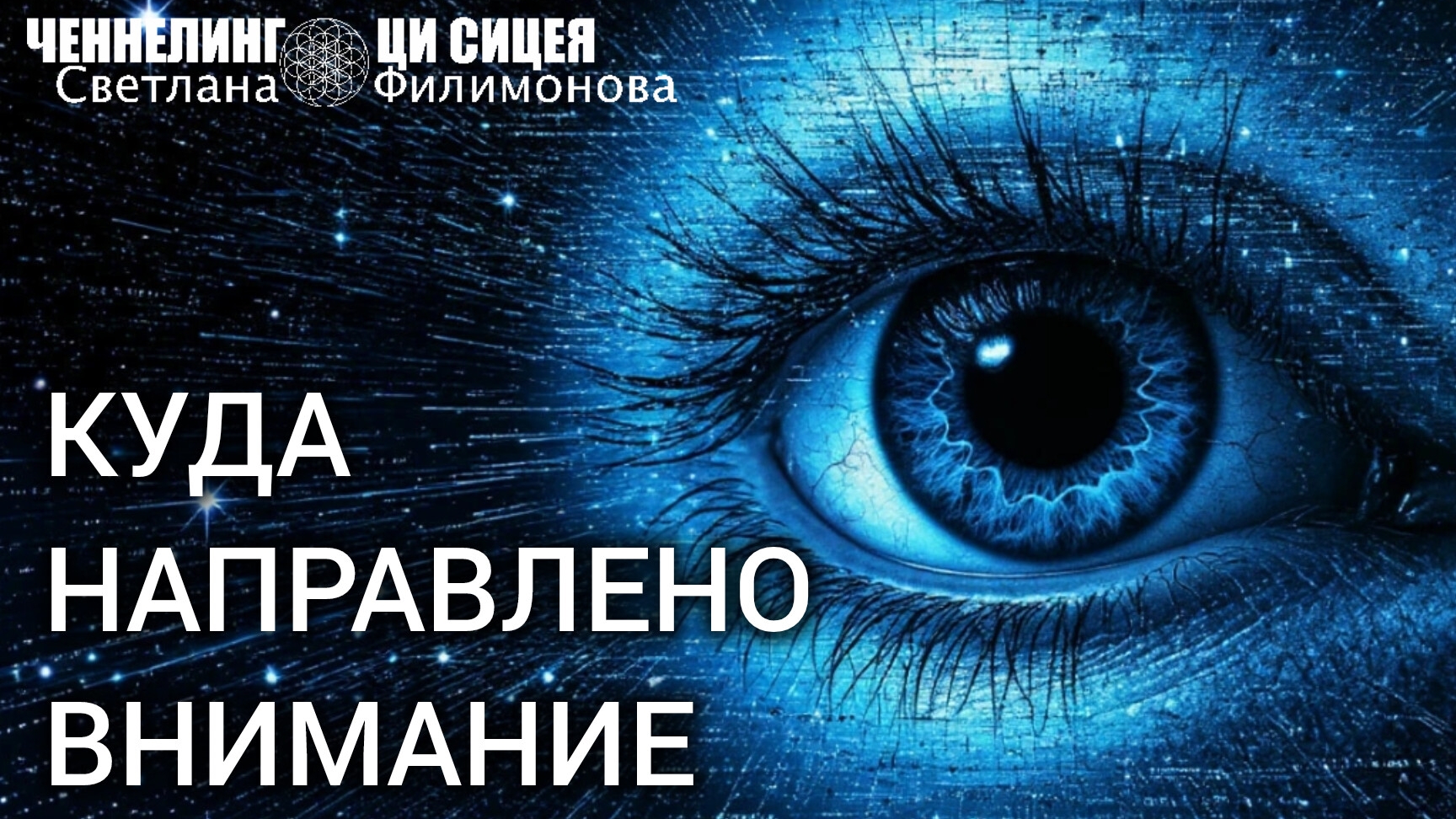 Приоритеты внимания