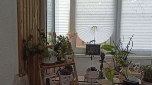 ПОКУПКИ ФИКС ПРАЙС 🛍 ОЗОН