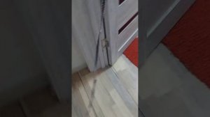 И.Н.К.Д. 6 (2 часть), Самый странный обджект