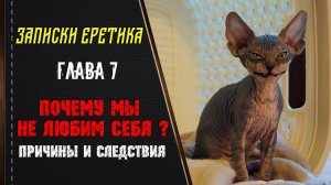 Почему мы не любим себя? Причины и следствия? Глава 7.