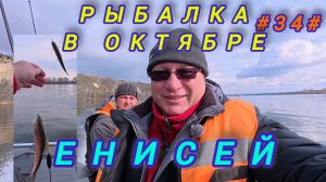Рыбалка в октябре на Енисее