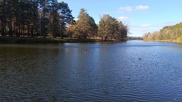 Все бросили и уехали отдохнуть