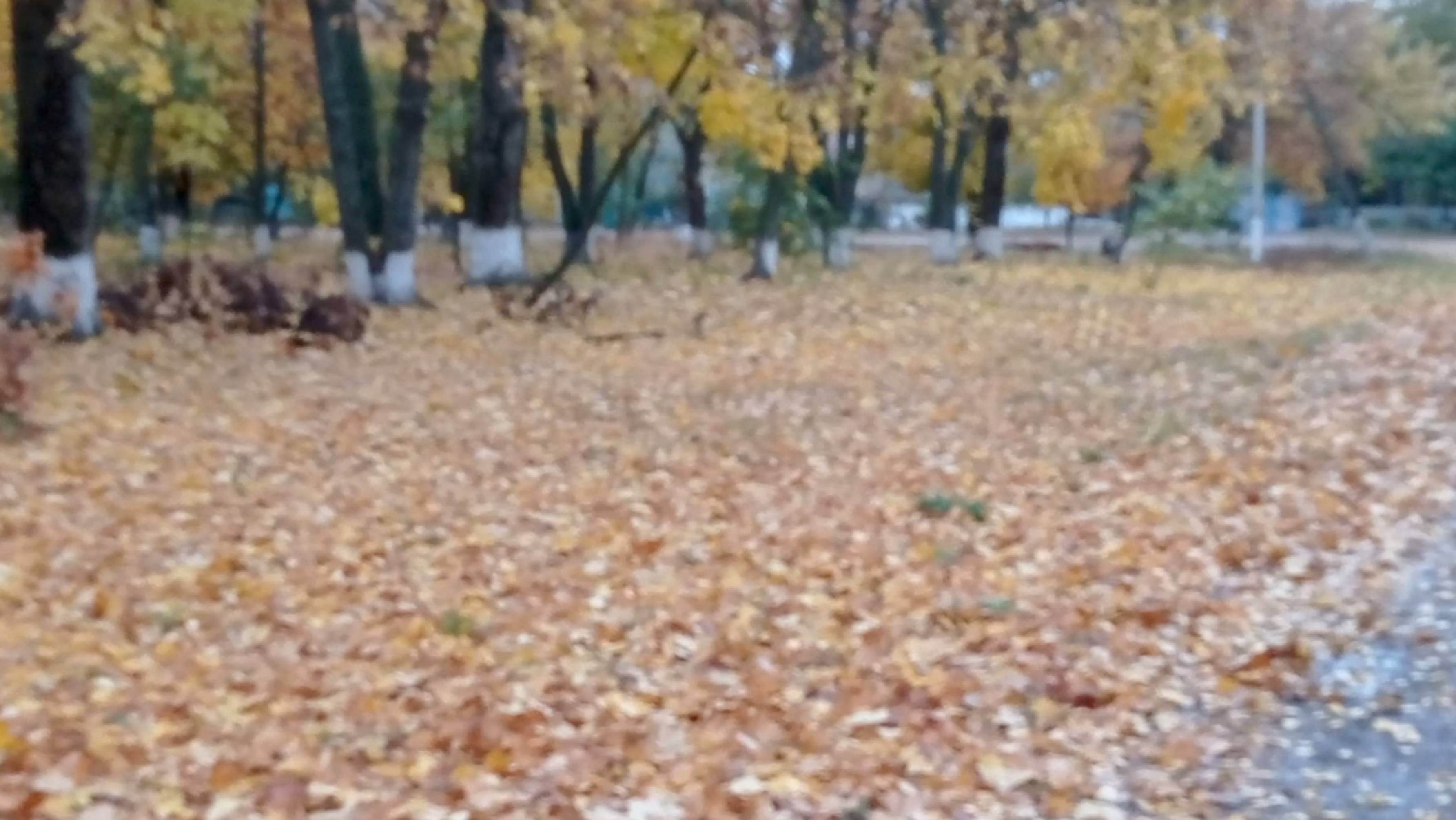 Осень деревенский мотив
