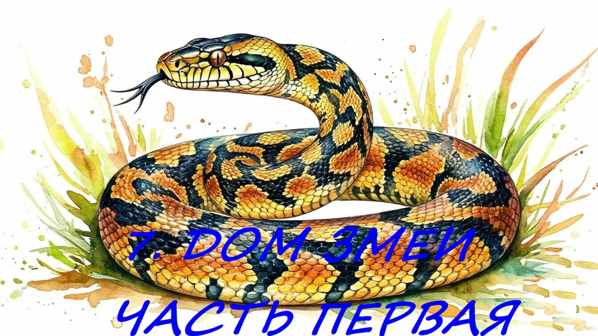 7.1.  ДОМ ЗМЕИ. ЧАСТЬ ПЕРВАЯ. ЗНАЧЕНИЕ И СОЧЕТАНИЕ С КАРТОЙ В НЕГО ПОПАВШЕЙ.