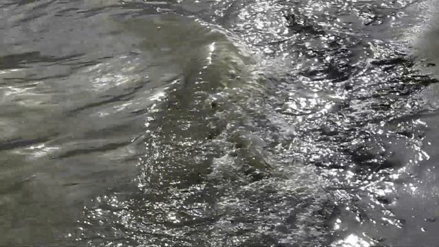 28 октября 2023 г. смотреть онлайн