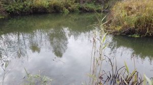 Осенний прохват на скутерах по Киржачскому и Кольчугинскому району Владимирской области 11.10.2005