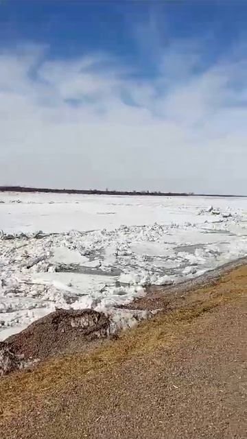 На Томи. 13.04.24 смотреть онлайн