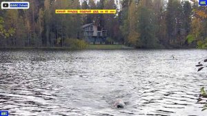 Воскресный лесной фитнес и плавание 12.10.2025 #юныйпрадедбодрыйдед #авсарх