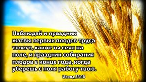 Праздник Жатвы 12.10.2025