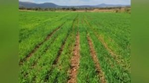 Посмотрите на краткий обзор супер техники от Agrokraft Gbmh