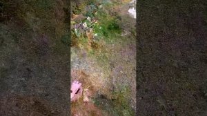 😢😢😢❤️❤️❤️🌞🌞🌞