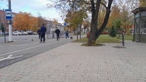 Ирина Одарчук Паули Электронный концерт №2 2025