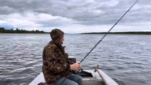 Рыбалка на хариуса. Крупняк на спиннинг.