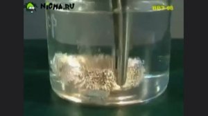 🔥 15 Обучающих Видео По Химии! 🔬