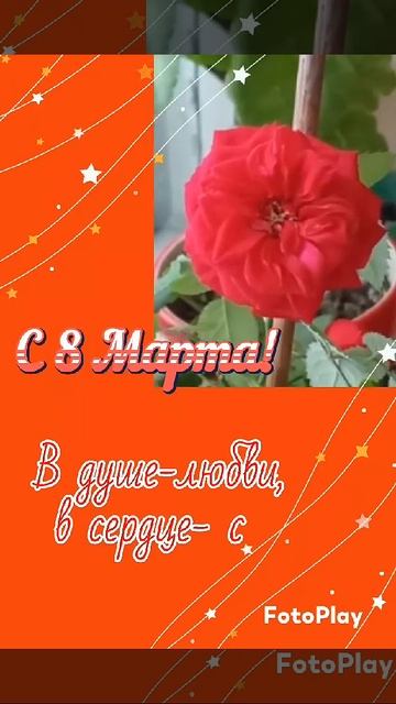 9 марта 2025 г. смотреть онлайн