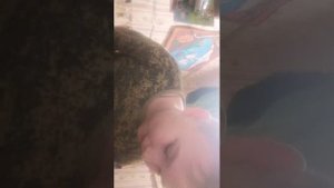 Арсения влог