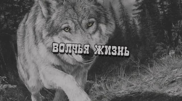 Клип, созданный нейросетью на свои слова!