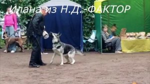 ИЛАНА выражено ПРК ЦВЕО 21.09.25