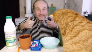 завтрак с Рыжулей. у меня 2 плохие новости. мукбанг. обжор. еда на камеру. диета. шизофрения.